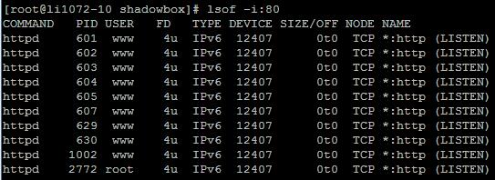netstat 查看端口进程