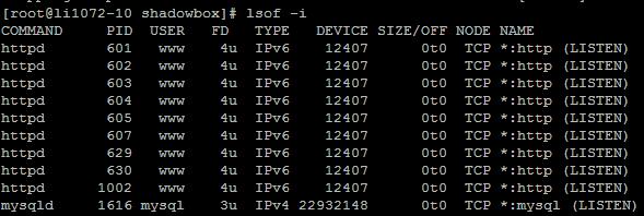 Linux 查看端口被程序占用的命令