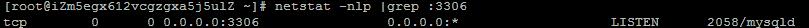 Linux 查看端口进程及进程所在位置