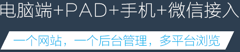 电脑端+PAD+手机+微信接入，一站式网站建设